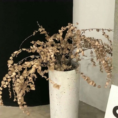 兽设比例设计基础教程福瑞群